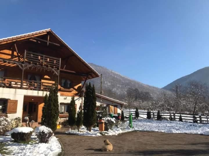 Gasthaus Maria Borlova Экстерьер фото