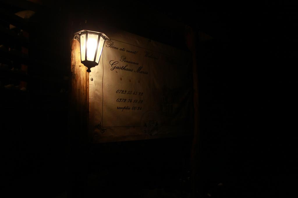 Gasthaus Maria Borlova Экстерьер фото