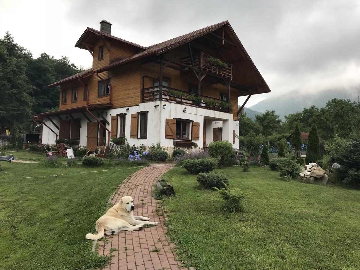 Gasthaus Maria Borlova Экстерьер фото